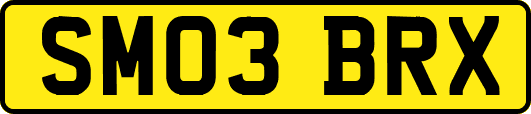 SM03BRX