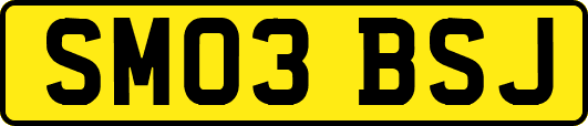 SM03BSJ
