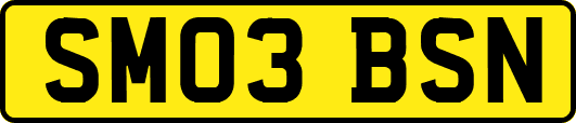 SM03BSN