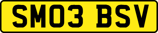 SM03BSV