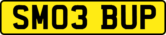 SM03BUP