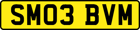 SM03BVM