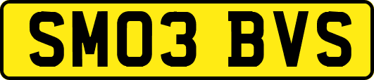 SM03BVS