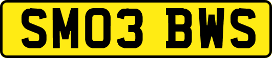 SM03BWS