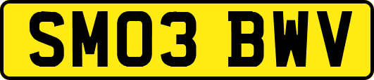SM03BWV