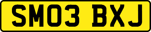 SM03BXJ