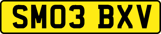 SM03BXV