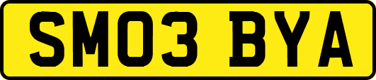 SM03BYA