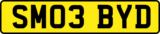 SM03BYD