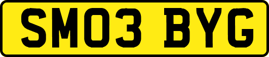 SM03BYG