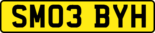 SM03BYH