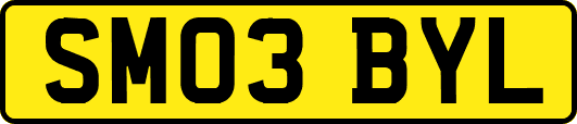 SM03BYL