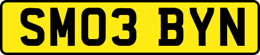 SM03BYN