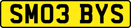 SM03BYS