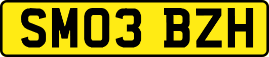 SM03BZH