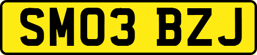 SM03BZJ