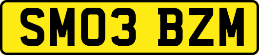 SM03BZM