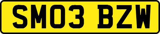 SM03BZW