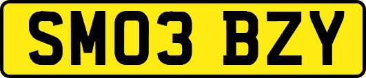 SM03BZY