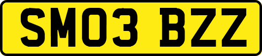 SM03BZZ