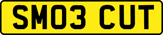 SM03CUT