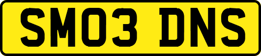SM03DNS