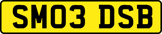 SM03DSB