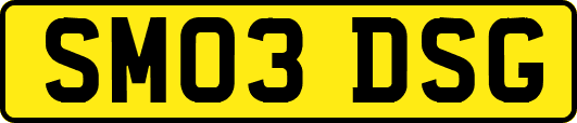 SM03DSG