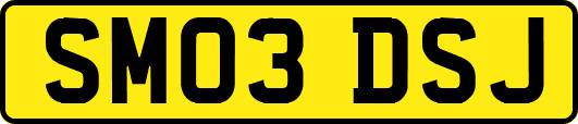 SM03DSJ