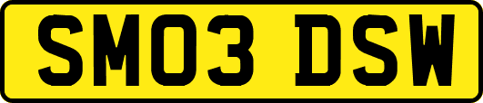 SM03DSW