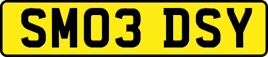 SM03DSY