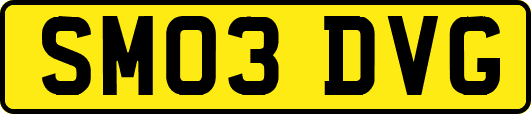 SM03DVG