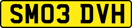 SM03DVH