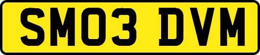 SM03DVM