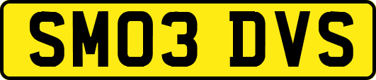 SM03DVS