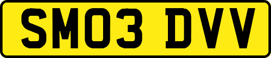 SM03DVV