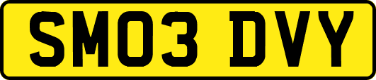 SM03DVY