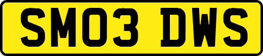 SM03DWS