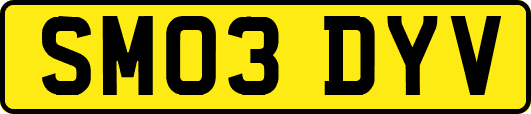 SM03DYV