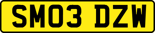 SM03DZW