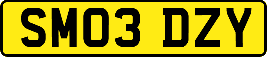 SM03DZY