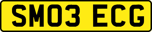SM03ECG