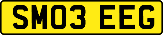 SM03EEG