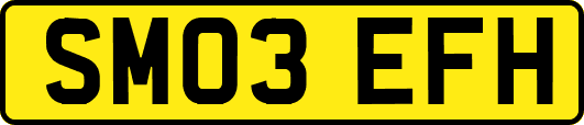 SM03EFH