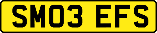 SM03EFS