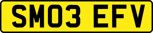 SM03EFV