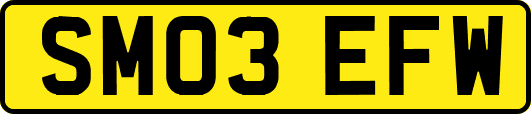 SM03EFW
