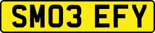 SM03EFY