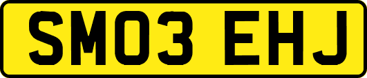 SM03EHJ