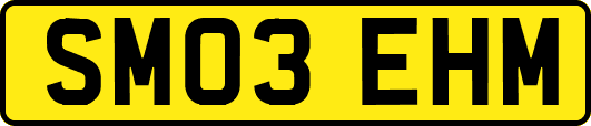 SM03EHM